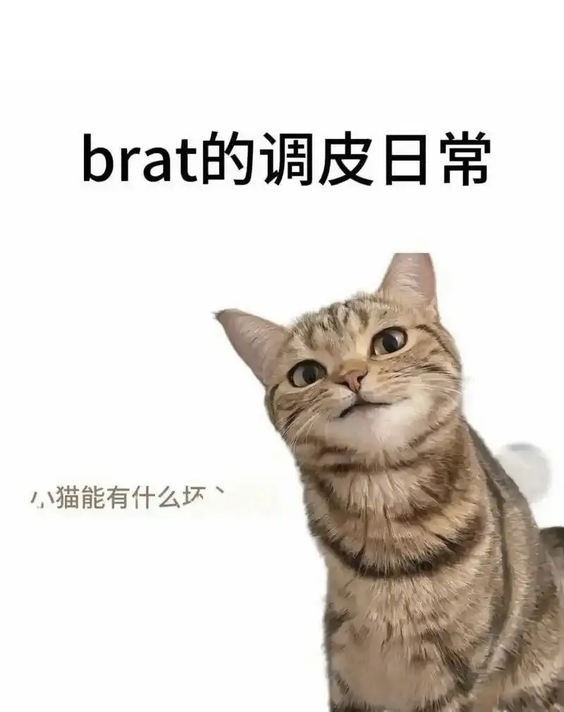 【西檬之家】BDSM新手指南：从术语到SSC原则的入门解析