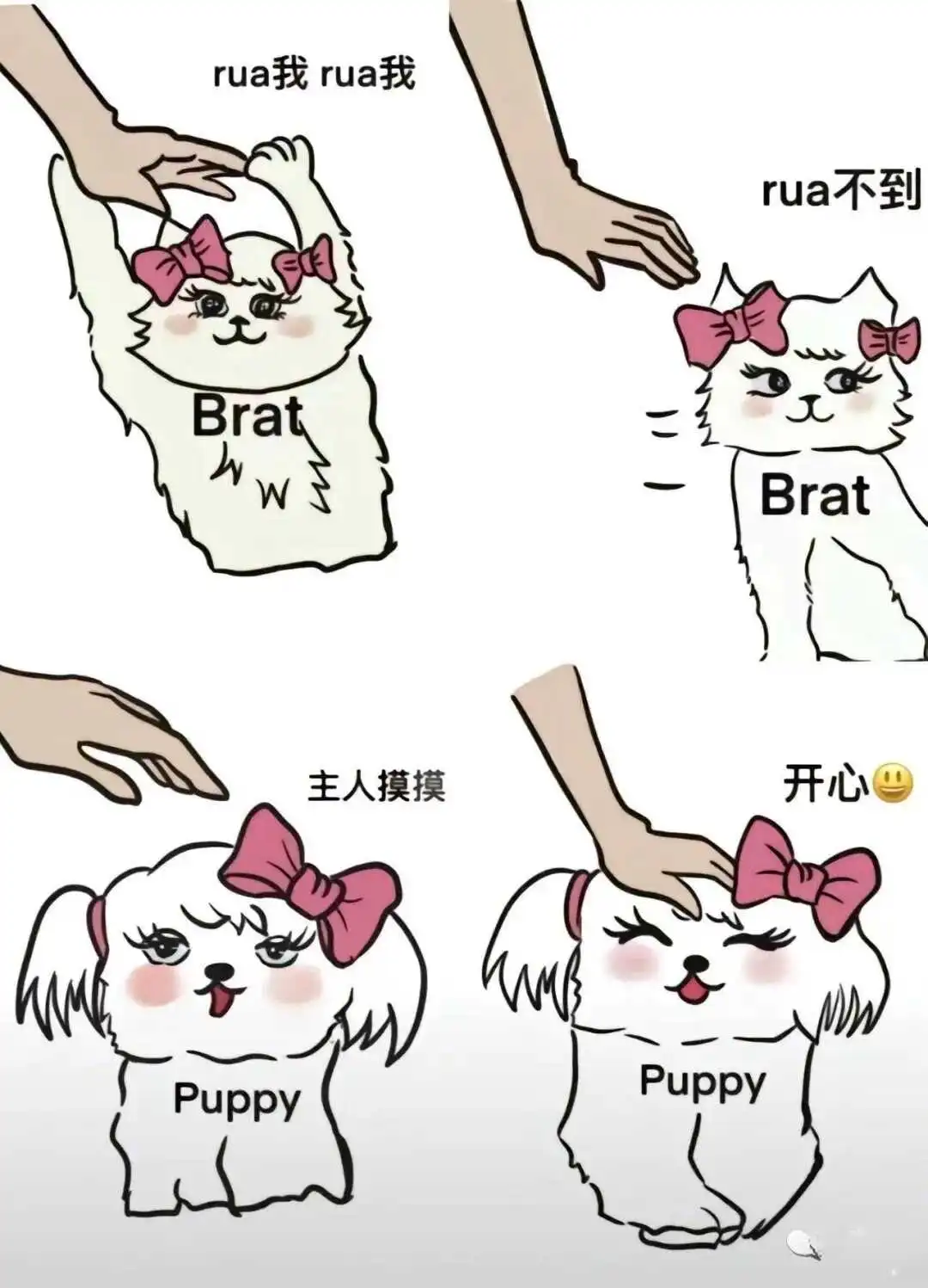 【西檬之家】k9是什么？字母圈新人必知的犬系角色扮演指南
