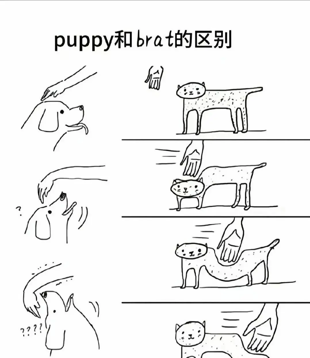 西檬之家-BDSM字母圈新人权威指南