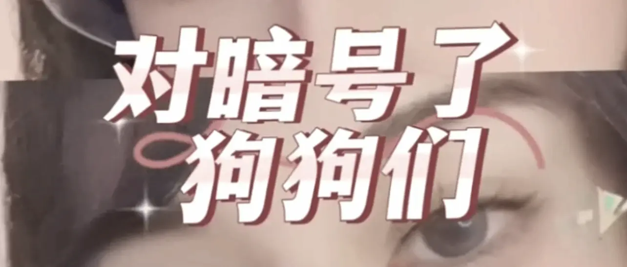 【西檬之家】新手必看：了解字母圈术语OTK的全解析