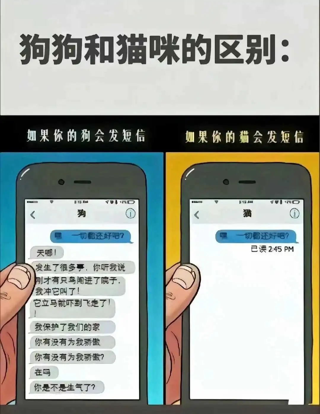 西檬之家-恋足癖与BDSM安全实践：新人入圈指南