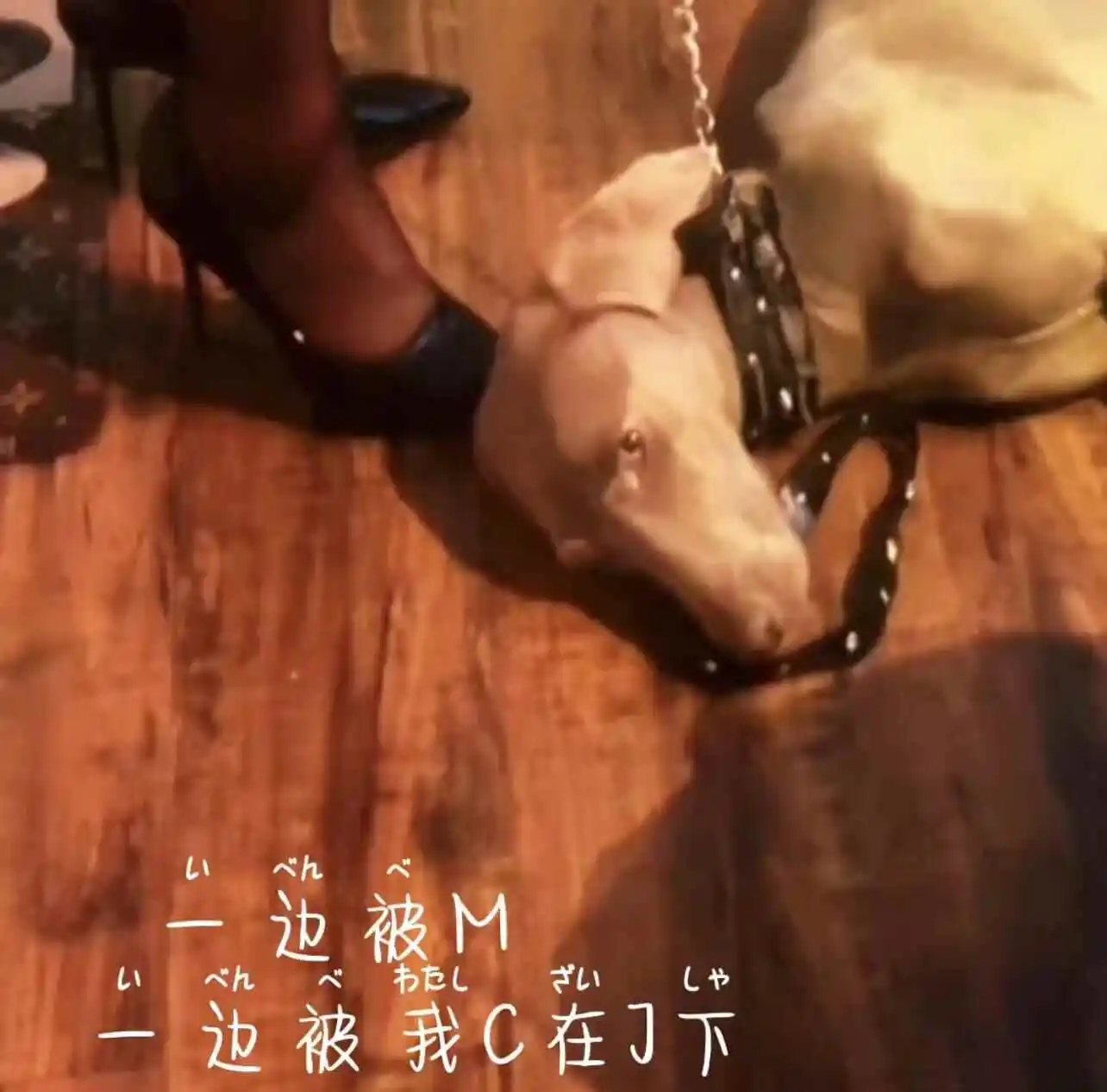 【西檬之家】字母圈新人如何入圈？安全指南