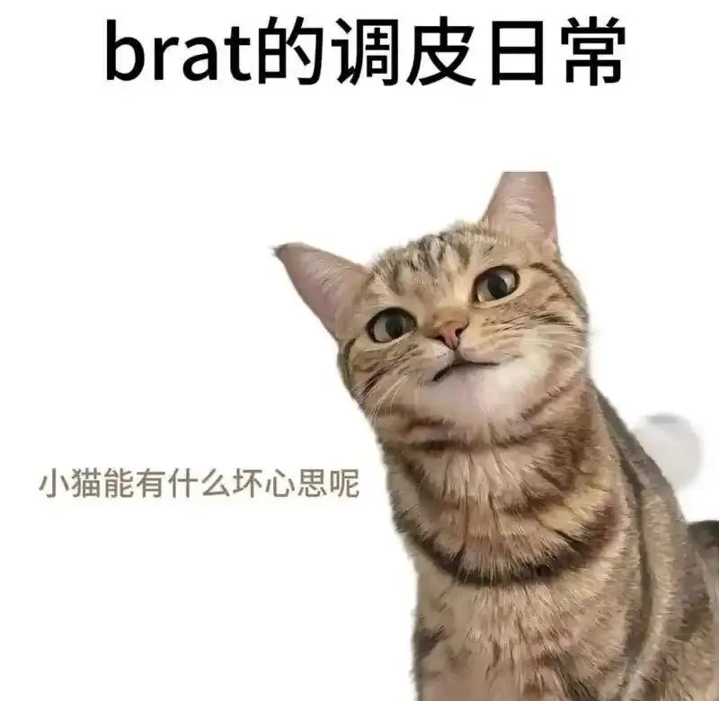 【西檬之家】圣水是什么？字母圈新人必知的D/S专属术语