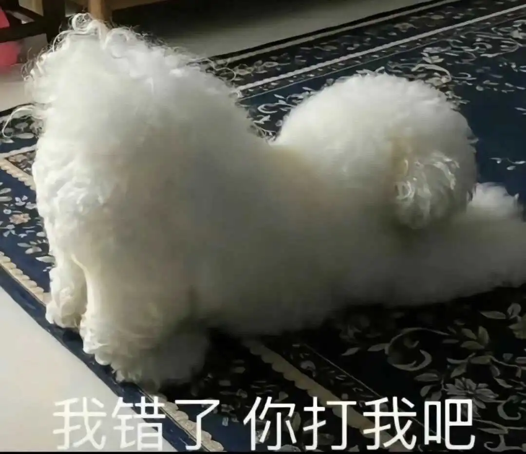 【西檬之家】Dirty Talk是什么？字母圈新人入圈指南