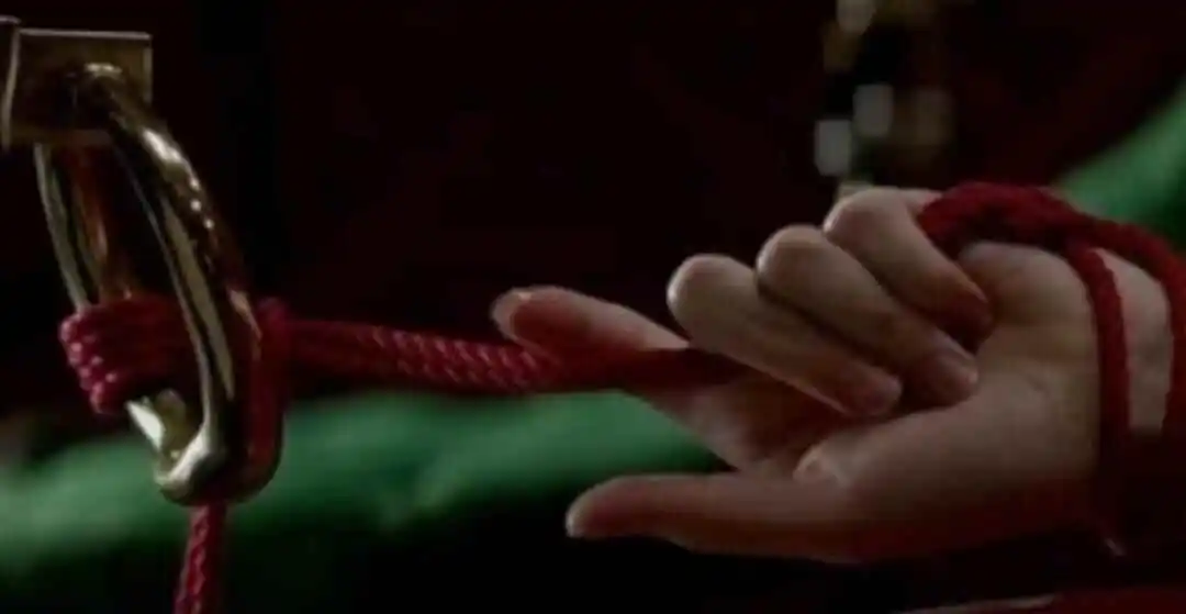 西檬之家-BDSM中的S倾向：从施虐者到支配者的身份辨析