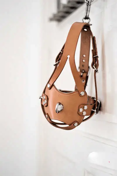 【西檬之家】BDSM字母圈的DOM是什么意思？