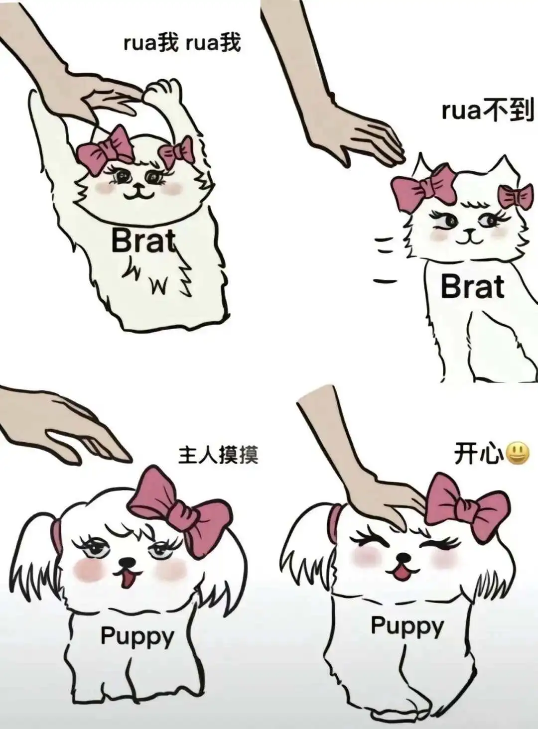 西檬之家-K8是什么：字母圈中的猫奴文化解析